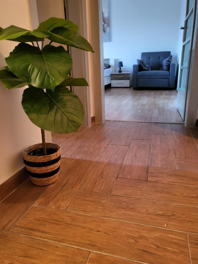 Rijeka Apartment With Free Parking And Large Balcony Eksteriør bilde